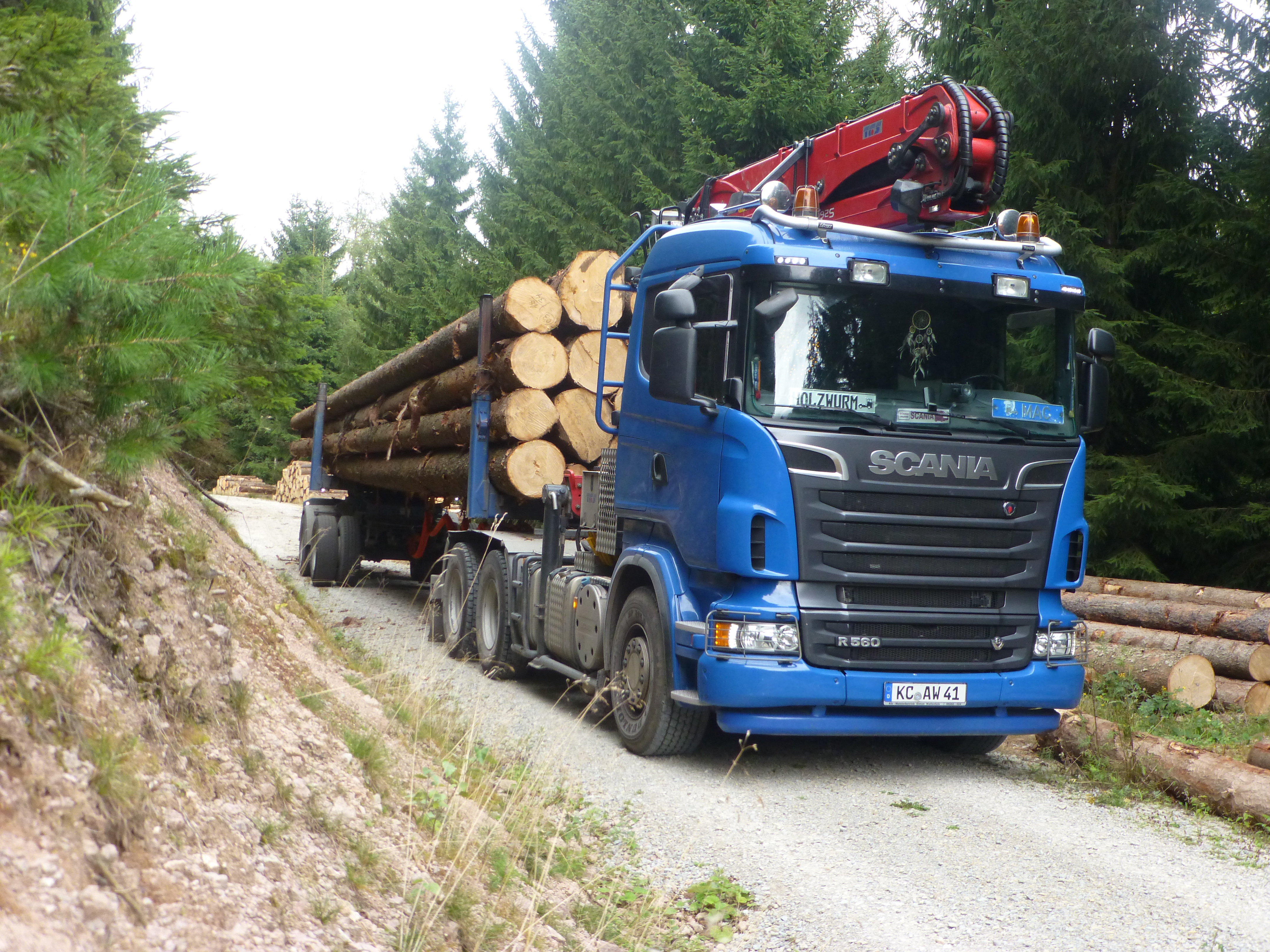 Bilder für Homepage 2017 022.JPG